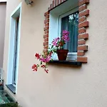 Il Debbio