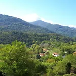 Villa Il Debbio
