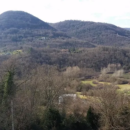 Il Debbio